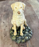 Vintage Golden Retriever/Lab Sitting On Rocks - Matte 7” Tall - €30,50 EUR