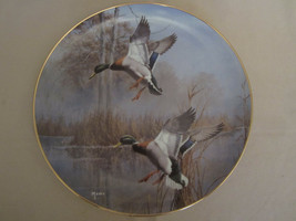 Misty Morning Revisited - Mallards Collector Plate David Maass Wildlife Duck - £25.57 GBP