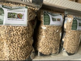 75 days Ghanaian black eye cowpea(Vigna unguiculata) seeds for planting,... - $27.00