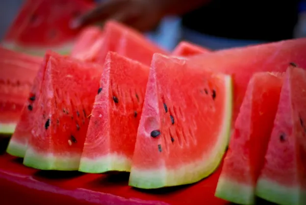 50 Crimson Sweet Watermelon Up To 25Lb Melons Aas Winner Fresh Seeds - £10.29 GBP