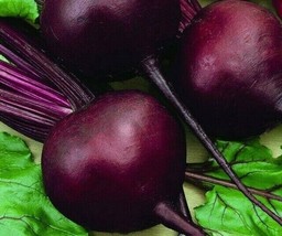 Beet Seeds 100 Detroit Dark Red Survival Garden Vegetable Fresh Seeds USA - $4.10