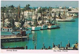 Postcard Shrimp Boats Key West Florida - £3.86 GBP