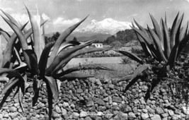 Mexico~El Iztaccihuatl Mountain 5,250m~1950s Real Photo Postcard - £3.90 GBP