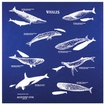 Printed Image Whales Bandanna 22&quot; x 22&quot; BLACK Survival Facts Informational - $11.04