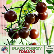 AD 10 Black Cherry Tomato Seeds Organic Non Gmo Home Garden - $13.26