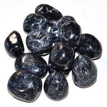 1 lb Fossil Stone, Black tumbled - $195.59 CAD