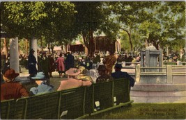 Vtg Postcard, People Hanging out at Williams Park, St. Petersburg Florida - £4.61 GBP