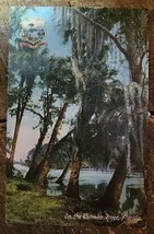 On The Tomoka River, Florida - Florida Artistic Series - 1907-1915 Postcard - £3.40 GBP