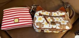 Dooney &amp; Bourke Small Hobo Plumeria Brown or Crossbody Red Stripe choose - €59,00 EUR+