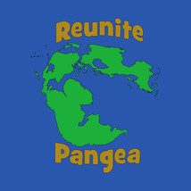 Reunite pangea T-shirt! - £14.42 GBP+