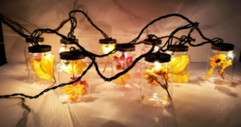 Charming Fall Harvest Mason Jar Hanging String 10 Light Set 10 Feet Plug in - £15.37 GBP