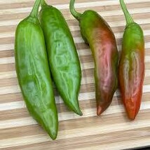 Hatch MS Junie Pepper 100 Seeds Free Shipping - $75.58 MXN