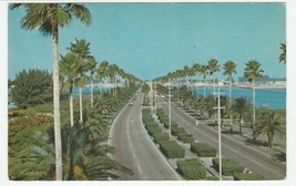 Vintage Postcard Clearwater Florida Memorial Causeway Palm Trees - £5.46 GBP