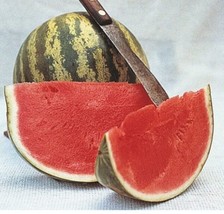 10 seeds Watermelon Perfect for Garden Planting Immediate Gardening Start - £6.93 GBP