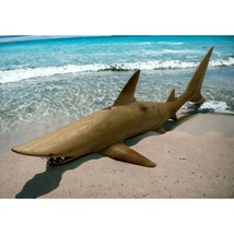 Wood Shark Hand Carved Ocean Sculpture Micronesia Vintage Island Art 16&quot; - $139.98