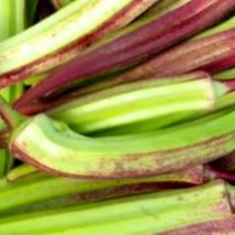 Fresh Garden Hill Country Red Okra Seeds  | NON-GMO | Heirloom | Seeds - £8.13 GBP