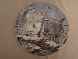 WOLF collector plate EYES IN THE MIST Daniel Renn Pierce WOLVES Wildlife - $23.99