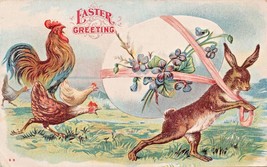 Easter Greeting Rooster &amp; Hens Chase Rabbit Stealing Large Egg Postcard 1907 - £8.88 GBP