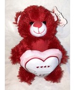 GIFT CARD HOLDER plush Teddy Bear  RED  With pocket Heart - £12.73 GBP
