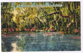 Postcard Charleston South Carolina Magnolia Gardens Spanish Moss - $3.95