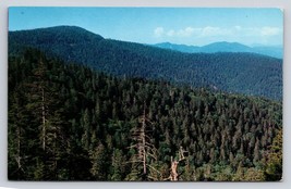 Clingmans dome hwy Great Smoky Mountains Park Mt Collins Postcard VTG UN... - £6.83 GBP