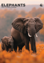 Elephants Calendar 2026 - $19.99
