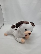 Kohls Cares The Poky Little Puppy Plush Little Golden Book Stuffed Anima... - $9.85