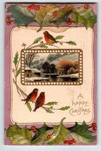 Christmas Postcard Robins Birds Embossed Series 3016 Davidson Germany 1910 - £8.30 GBP