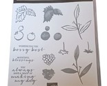 Stampin&#39; Up! BERRY BLESSINGS Photopolymer Stamps Scrapbook Paper Crafts - $4.42