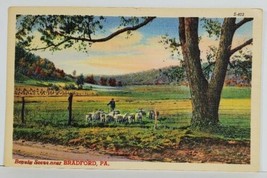 PA Beauty Scene Near Bradford, Farmer Sheep Linen Postcard N16 - £6.38 GBP