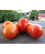 Silvoryi Polysati - great paste tomato - £3.98 GBP