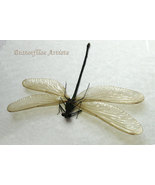 Archineura Hetaerinoides Broad-winged Damselfly Dragonfly Entomology Sha... - $82.04 CAD