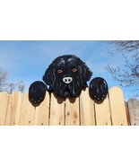 Newfoundland Dog Peeker Yard Art Garden Dog Park Kennel Sign - £99.79 GBP