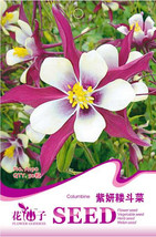 New Fresh Perennial Purple Columbine Seeds Pack 50 Seeds / Pack Indoor Hummingbi - £2.94 GBP