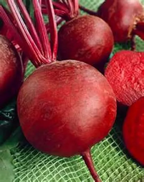 Beets Detroit Red 100 Seeds Fresh - £5.96 GBP