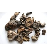 Amla whole , Dried Amla seed less , amla whole Fruit, Indian gooseberry ... - $13.03 CAD