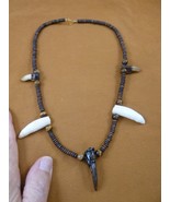 G162-602 1.6" Alligator Tooth + 3 claw TOE tiger's eye + water buffalo N... - €54,97 EUR G162-602 1.6" Alligator Tooth + 3 claw TOE tiger's eye + water buffalo N... - €54,97 EUR