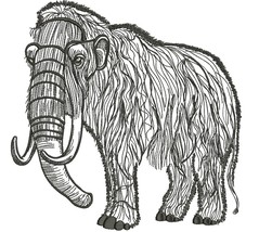 Item image 1