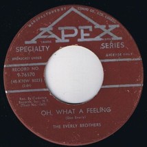 Everly Brothers Oh What A Feeling 45 rpm Til I Kissed You Canadian Pressing - £3.94 GBP