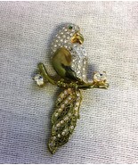 Parrot Brooch Pin w Rhinestones One Gold Eye and Dangling Tail Unmarked - €14,44 EUR