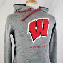 Champion Wisconsin Badgers Hoodie Sweatshirt Small Pullover Gray Sewn Logo Bucky - $17.99