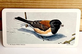 Vintage Songbird Trading Card Oregon Junco 1966 S9N44 Brooke Bond Tea Co - $373.29 MXN