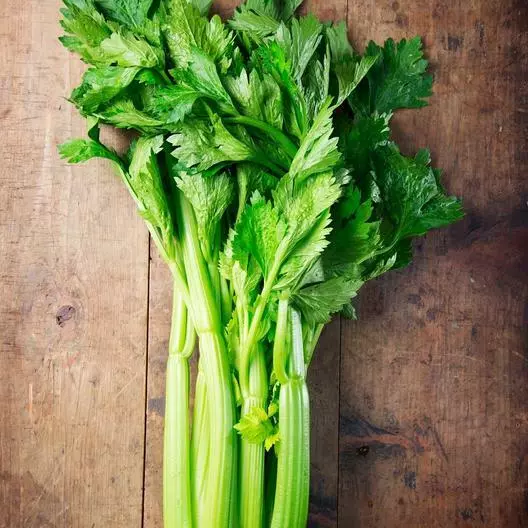 Tall Utah Celery Non Gmo 3000 Seeds Item image 2