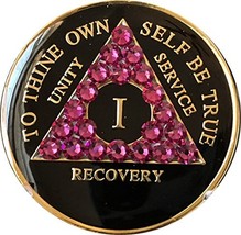1 Year AA Medallion Black Tri-Plate Pink Fuschia Color Swarovski Crystal Chip - £16.41 GBP
