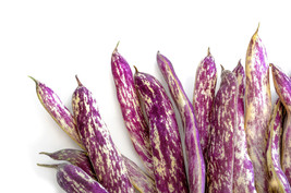 Fresh Seeds 50 Dragon Tongue Wax Bean Yellow Purple Phaseolus Vulgaris Vegetable - $16.00