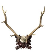 Plaque MOUNTAIN Lodge Antlers Marked 1889 Deer Large Ivory Chocolate Brown - £636.16 GBP