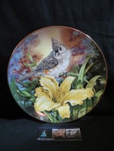 Songbirds of the South Tufted titmouse A E Ruffing Royal Windsor Bird LE Plate - £34.02 GBP