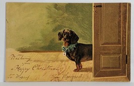 Christmas Adorable DACHSHUND Holly Collar 1907 Morton PA Mailick Postcard T9 - £31.46 GBP