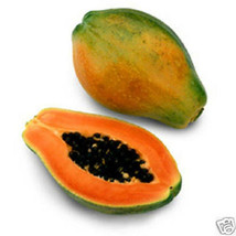 Papaya Red flesh @@ exotic tropical fruit seed 30 SEEDS - £7.23 GBP