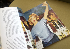 Nancy Drew and the Hardy Boys large softback book image 2